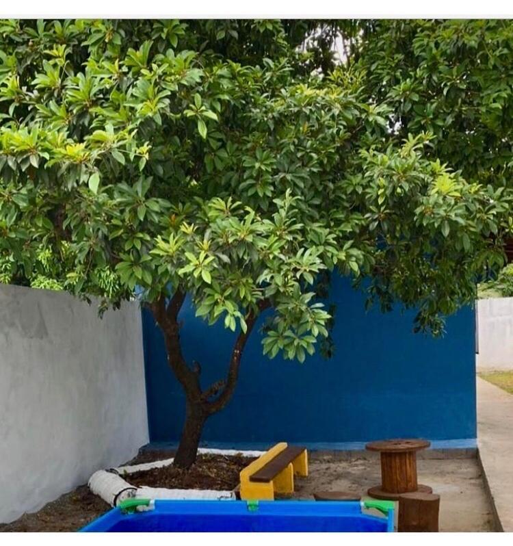Villa Chale Da Vovo Soure Exterior foto